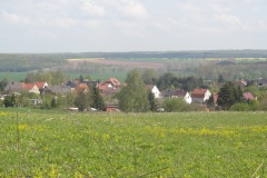DSC02495