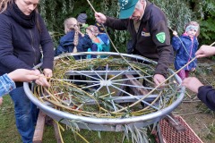 Vorbereitung des Nestes unter fachkundiger Anleitung