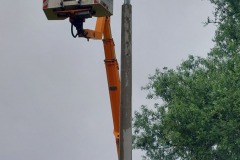 Das Nestgestell kommt auf den Mast